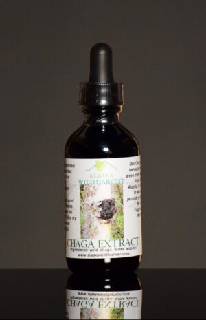 Chaga Extract/Tincture – Double Extracted