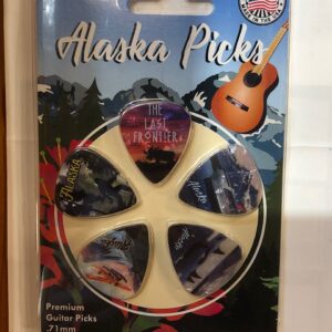 Guitar Picks – 5 Pack