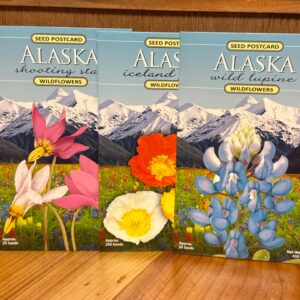 Wildflower Seed Postcard